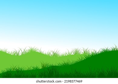 grass hills. meadow with blue sky background