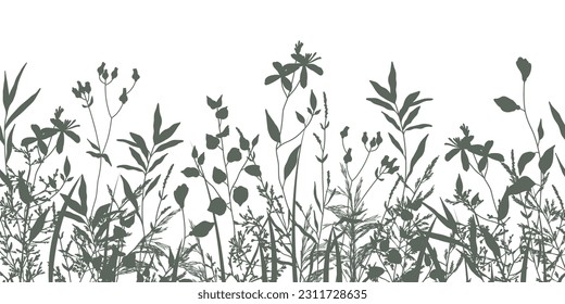 Grass horizontal border with wild  meadow herbs and  flowers. Seamless pattern with floral silhouettes. Vector isolated illustration on white background