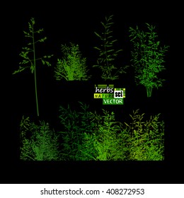 grass horizontal line. grass set. Vector