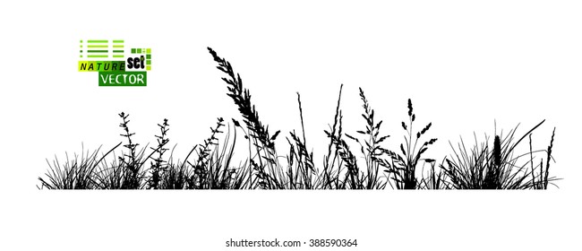 grass horizontal line. Vector