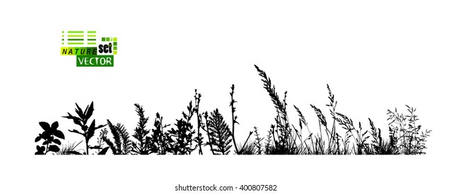 grass horizontal line. Vector