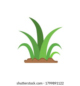 icono de césped de diseño de ilustración vectorial de estilo de color