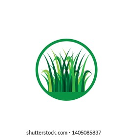 Grass icon design template vector graphic illustration -Vector
