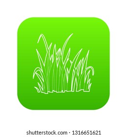 Grass icon green vector isolated on white background