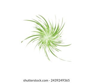 grass icon. Hand-drawn grassland isolated on the white background