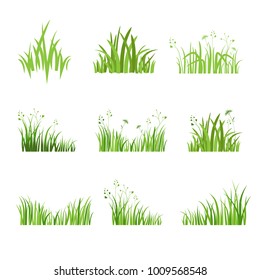 Grass icon. Silhouette of green plants for logo or sign. Eco style. Spring or summer seasonal illustration.