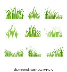 Grass icon. Silhouette of green plants for logo or sign. Eco style. Spring or summer seasonal illustration.