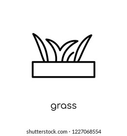 grass icon. Trendy modern flat linear vector grass icon on white background from thin line Agriculture, Farming and Gardening collection, outline vector illustration