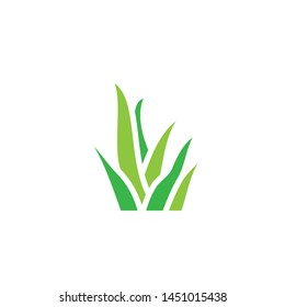 grass icon. grass vector graphic illustration.