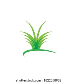 grass  icon vector illustration template design