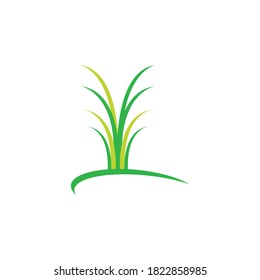 grass  icon vector illustration template design