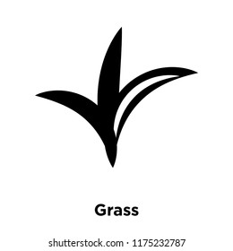 Grass icon vector isolated on white background, logo concept of Grass sign on transparent background, filled black symbol