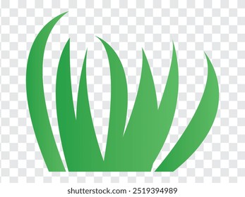 Grass icon. Grass vector Isolated on PNG background. Vector illustration.