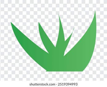 Grass icon. Grass vector Isolated on PNG background. Vector illustration.