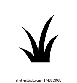 Vector de icono de gramíneas sobre fondo blanco