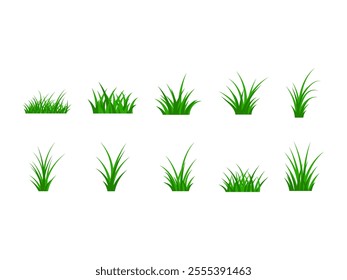 Grass Illustration Design Element Set
