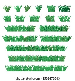 Grass illustration green set. Vector.