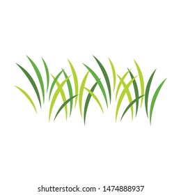 Grass ilustration logo vector design
