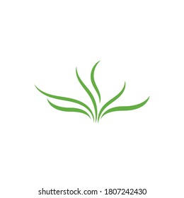 Grass ilustration vector design template