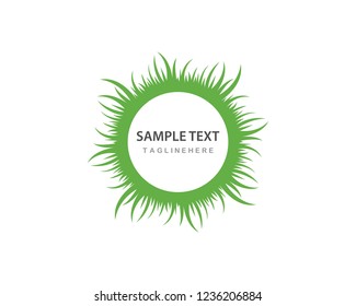 Grass ilustration vector template