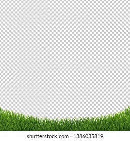 Grass Isolated Background Transparent Background, Vector Illustration