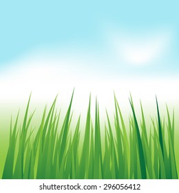 Grass isolated with blue sky