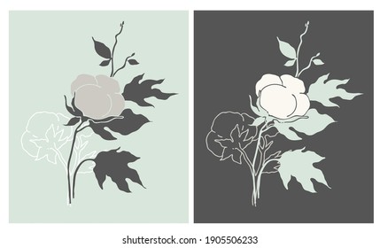 Сotton grass. Isolated and high resolution.