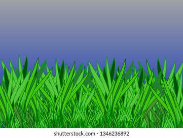 Grass isolated on sky background. Vector illustration