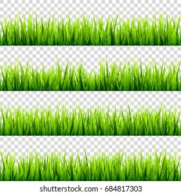 Grass isolated on transparent background, set. Green meadow. Nature background. Spring, summer time.