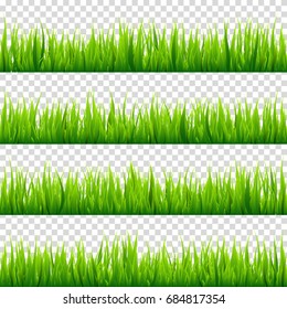 Grass isolated on transparent background, set. Green meadow. Nature background. Spring, summer time.