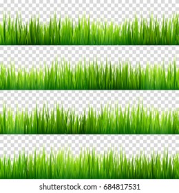 Grass isolated on transparent background, set. Green meadow. Nature background. Spring, summer time.