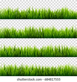 Grass isolated on transparent background, set. Green meadow. Nature background. Spring, summer time.
