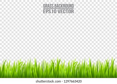 Grass isolated on transparent background.Grass background. Vector illustration.