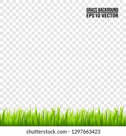 Grass isolated on transparent background.Grass background. Vector illustration.