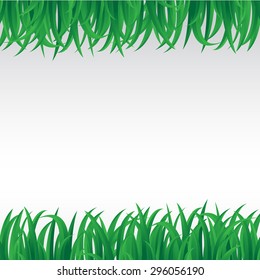 Grass isolated on white