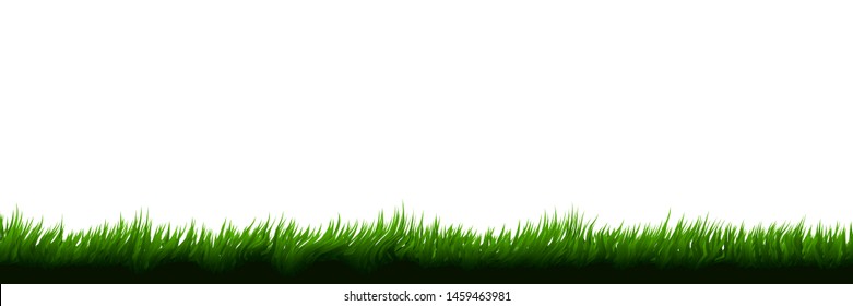 Grass isolated on white background.