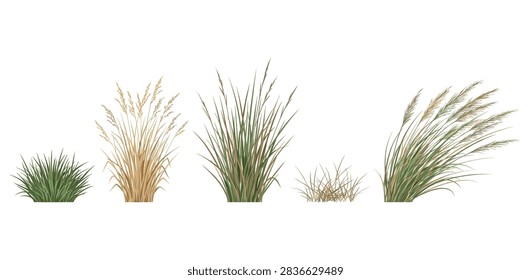 grass isolated on white background Fresh green grass patch isolated on a white background, symbolizing natural growth, ecology, and outdoor landscape beauty.
