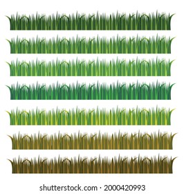 Grass isolated on white background.Green, yellow and brown.Meadows, lawns, fields and gardens.Sign, symbol, icon or logo.Summer, spring and autumn.Nature concept.
