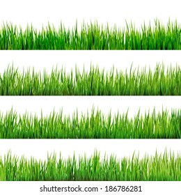 Grass isolated on white. And also includes EPS 10 vector - Shutterstock ID 186786281