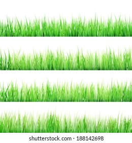 Grass isolated on white. And also includes EPS 10 vector