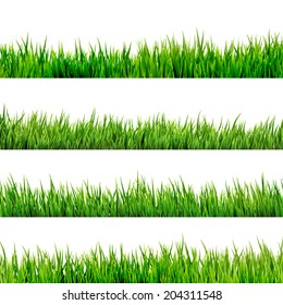 Grass isolated on white. And also includes EPS 10 vector