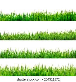 Grass isolated on white. And also includes EPS 10 vector