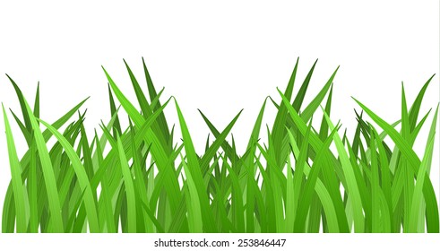 Grass isolated on white. And also includes EPS 10 vector