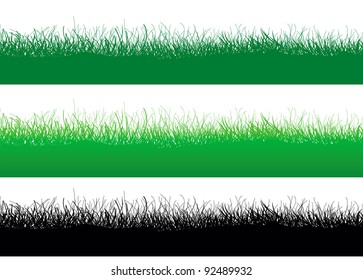 Grass isolated on white .Vector illustration