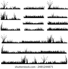 	
grass isolated silhouette in black, long grass flat in black