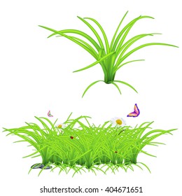 grass, ladybug, butterfly, stone, high quality vector