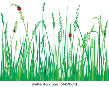 grass with ladybugs and ants vector illustration