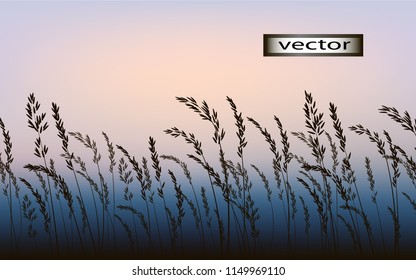 Grass landscape nature background set with the morning lighting the sky at dusk and blurred the horizon line for the background.