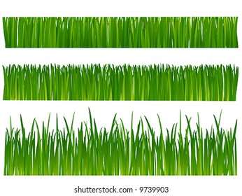 Grass (lawn)