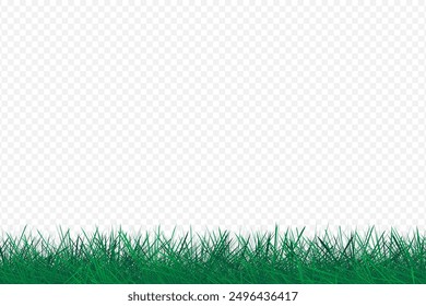 Grass lawn on transparent background. Realistic green grass border or lawn with copy space. Vector illustration.